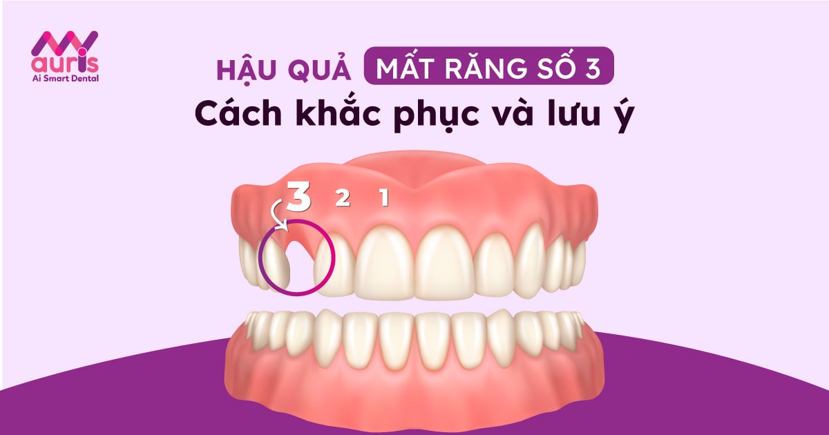 Răng nanh có vai trò gì trong quá trình cắn và nhai thức ăn?

