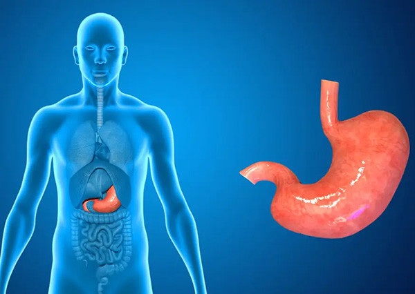 trị hôi miệng từ dạ dày