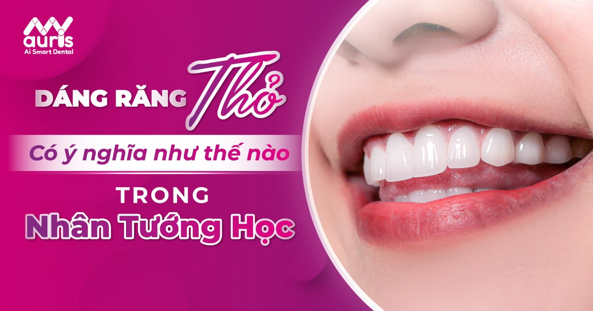 Có bao nhiêu răng cửa và răng hàm không có răng nanh nằm ở hàm trên của thỏ?
