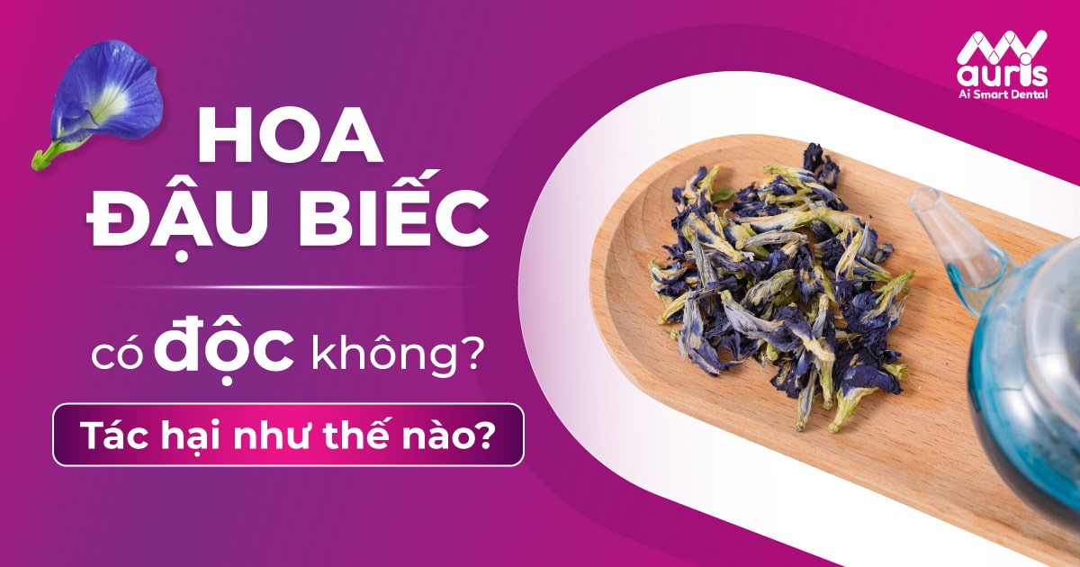 Hoa đậu biếc có độc không