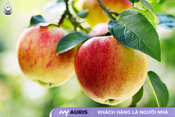 Một quả táo chứa bao nhiêu calo