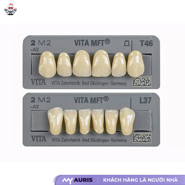 răng sứ vista, nên bọc răng sứ loại nào,bọc răng sứ loại nào tốt,bọc răng sứ nào tốt,nên bọc răng sứ loại nào tốt