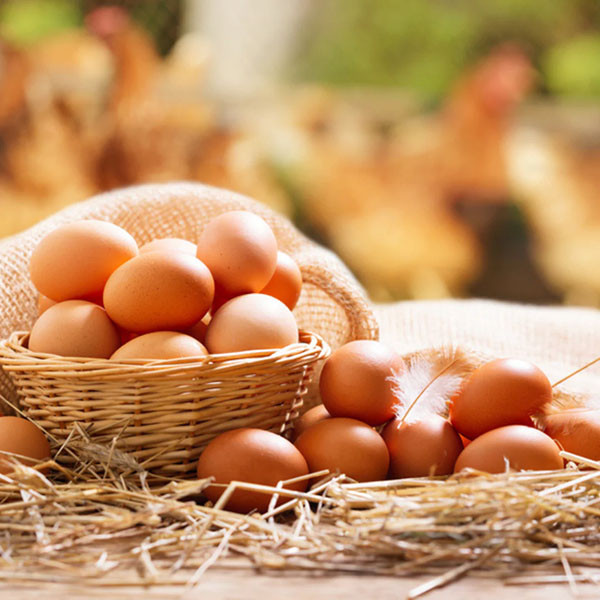 2 quả trứng gà luộc bao nhiêu calo