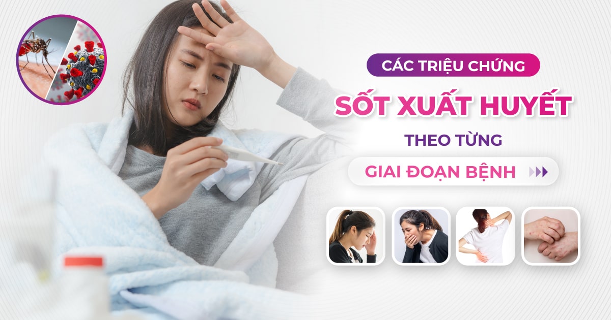 các triệu chứng sốt xuất huyết ở người lớn