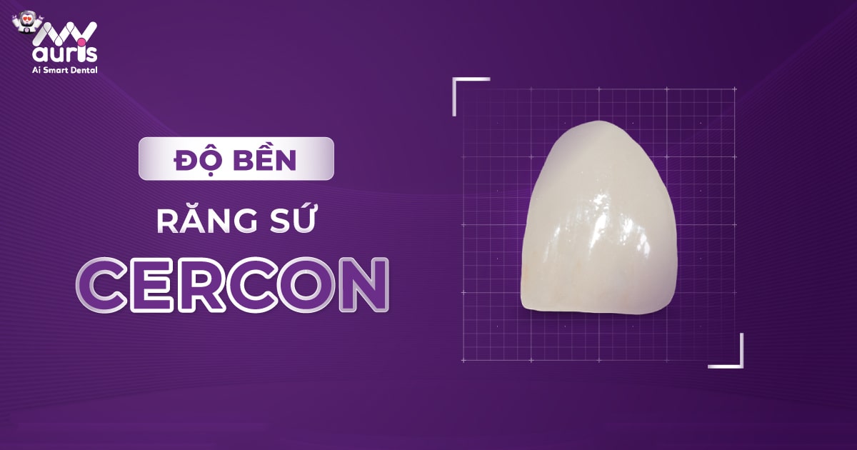 Độ bền của răng sứ Cercon - 2 loại răng sứ chính