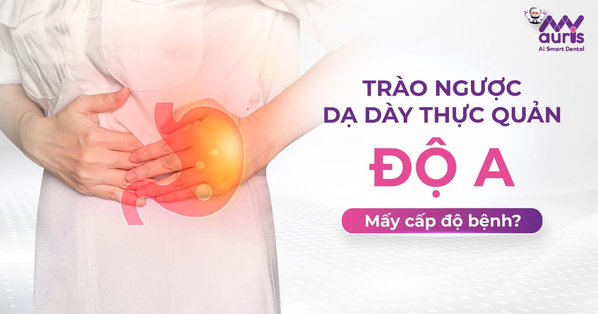 Trào ngược dạ dày thực quản độ a