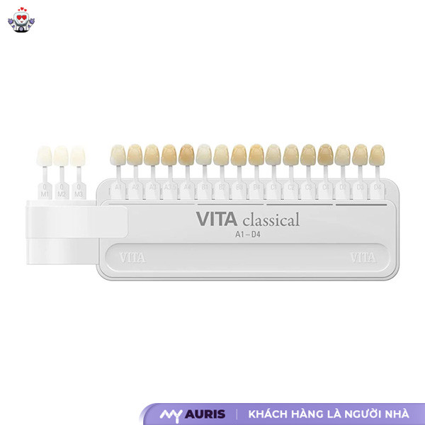 răng sứ vita có mấy loại,răng sứ vita đức,răng sứ vita là gì,răng sứ vita giá bao nhiêu tiền,bảng màu răng sứ vita,răng sứ vita có tốt không