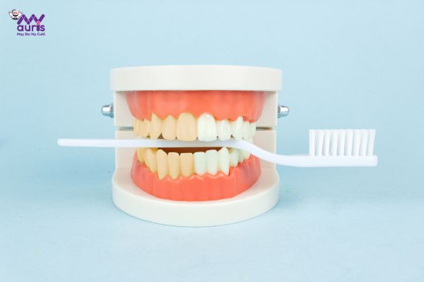 Trường hợp nào nên bọc răng sứ 