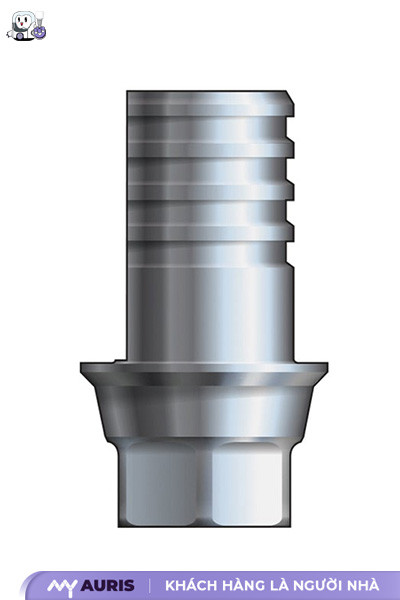 Implant Abutment