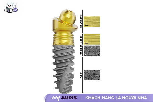 trụ implant vàng