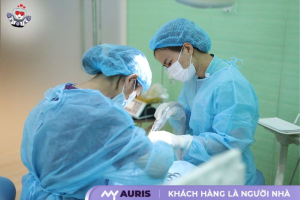 làm răng sứ sau bao lâu thì hết ê buốt