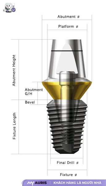 Implant Dentium Superline