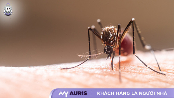 nổi mẩn đỏ ngứa như muỗi đốt