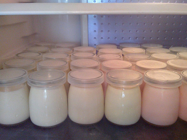 sữa chua không đường bao nhiêu calo