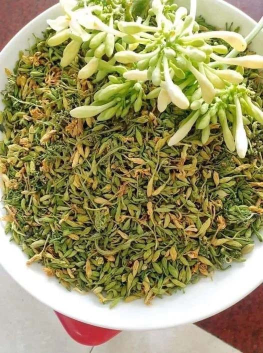 tác dụng của hoa đu đủ đực