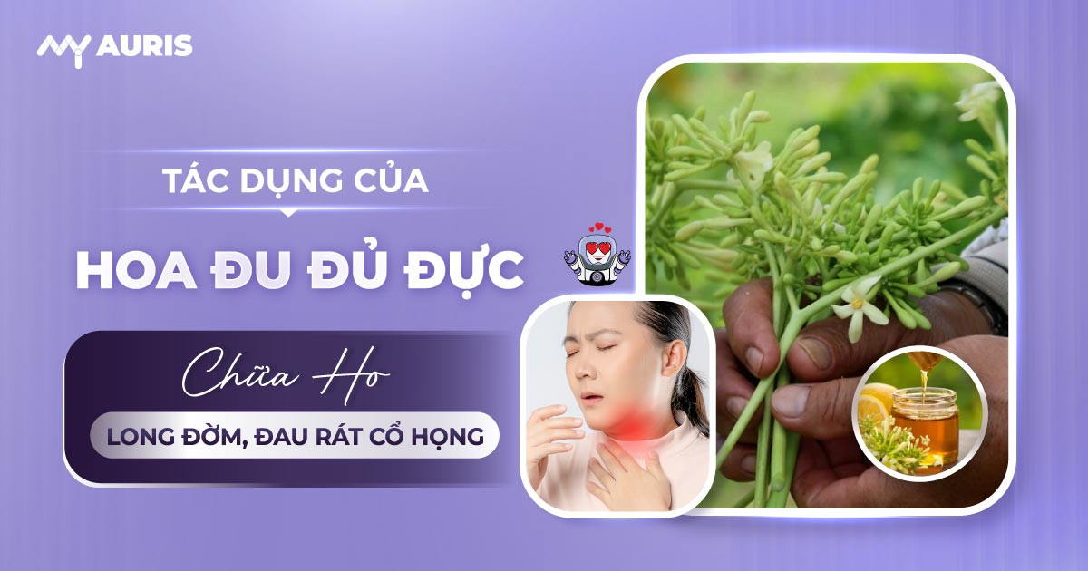 tác dụng của hoa đu đủ đực