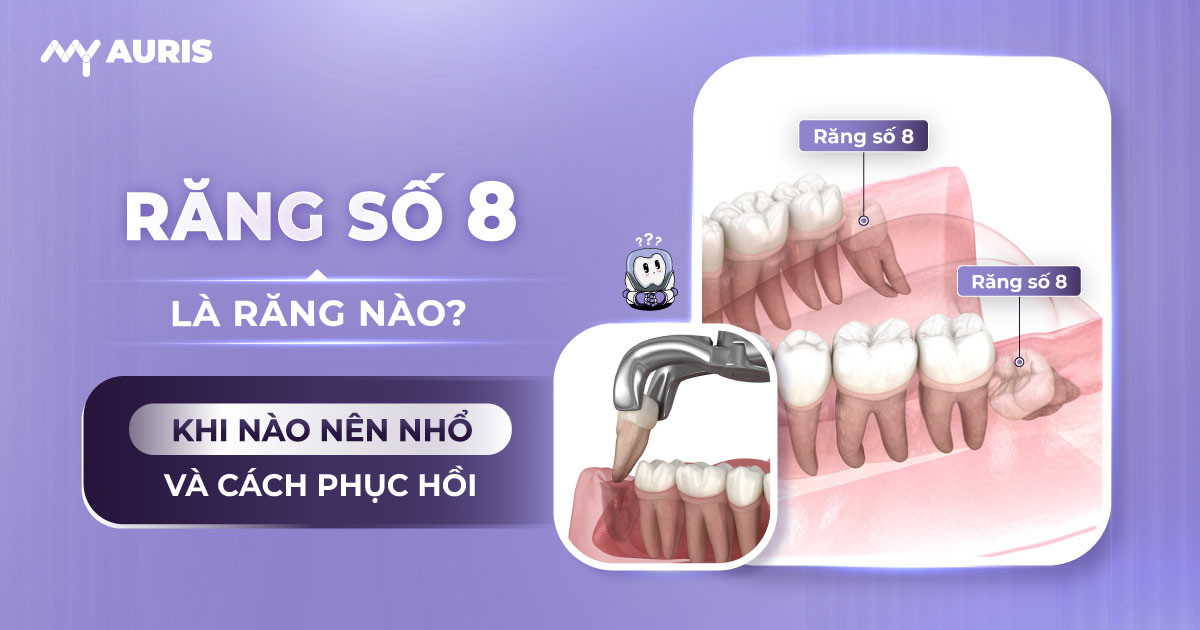 răng số 8,răng số 8 là những răng nào