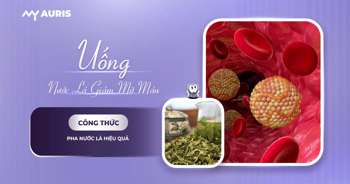uống nước lá gì để giảm mỡ máu