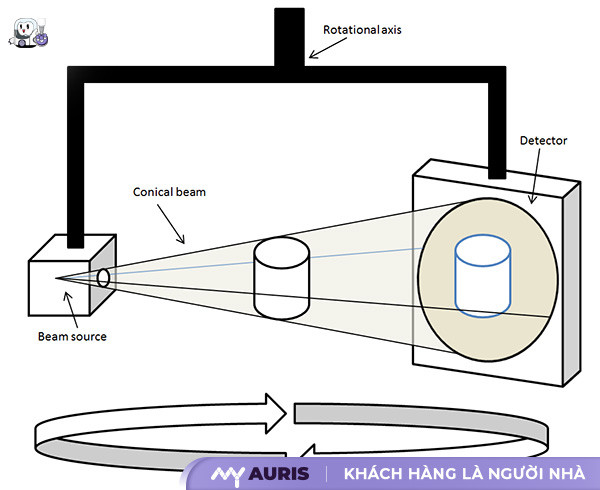 Cone Beam CT