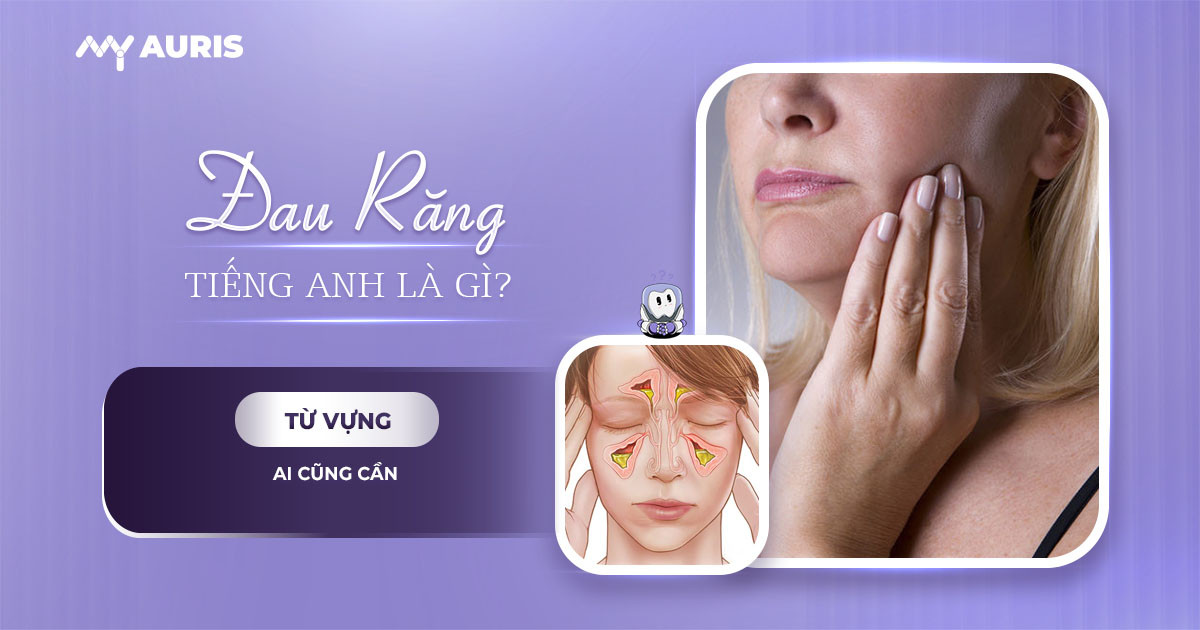 đau răng tiếng anh là gì,đau răng tiếng anh,đau răng trong tiếng anh là gì