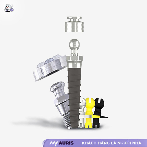 trồng Răng Implant IBS