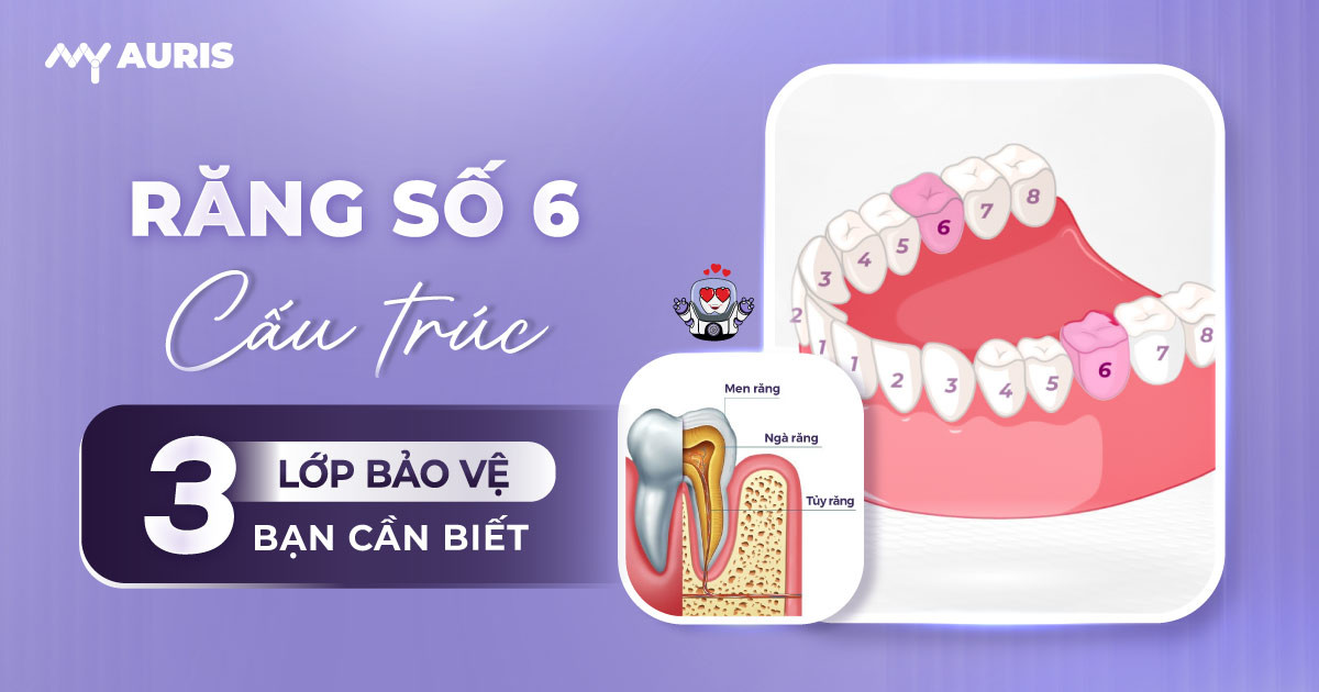 răng số 6