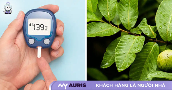 tác dụng của lá ổi