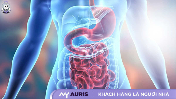 tác dụng của lá ổi